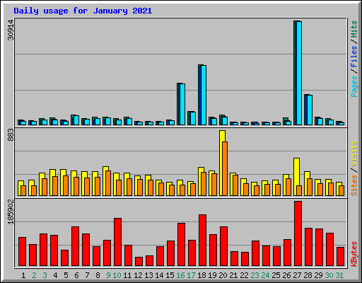Daily usage for January 2021