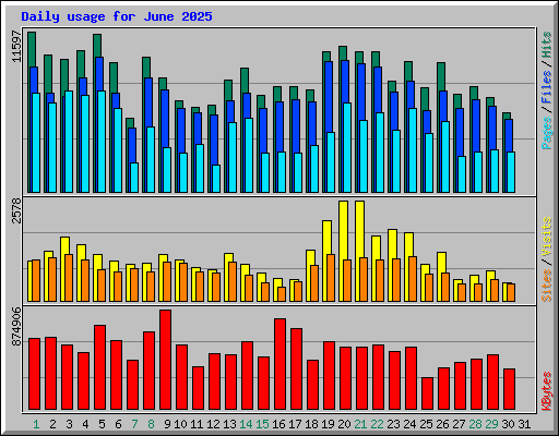 Daily usage for June 2025