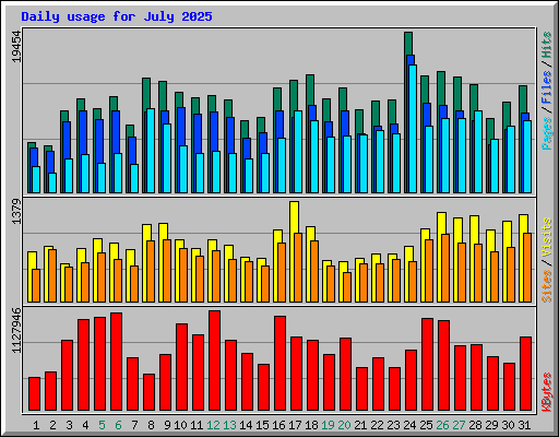 Daily usage for July 2025
