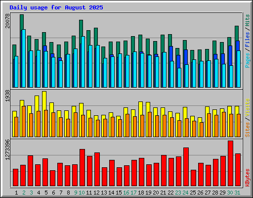 Daily usage for August 2025