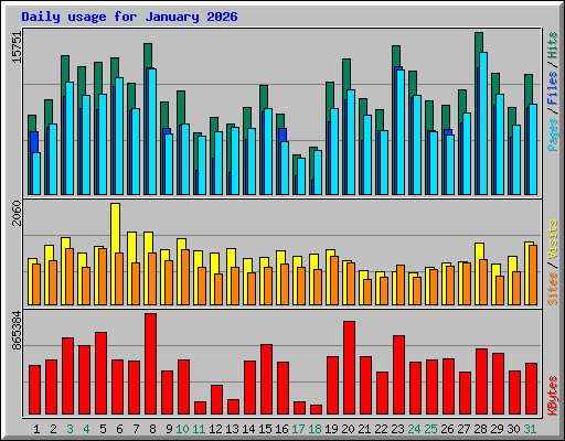 Daily usage for January 2026