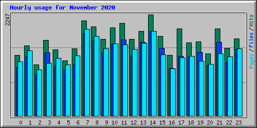 Hourly usage for November 2020