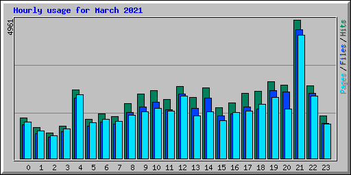 Hourly usage for March 2021