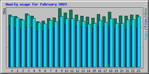 Hourly usage for February 2023