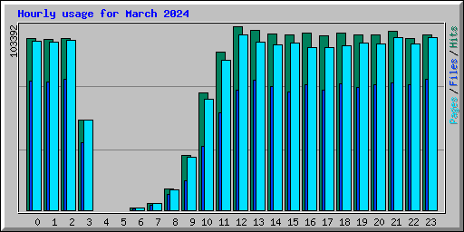 Hourly usage for March 2024