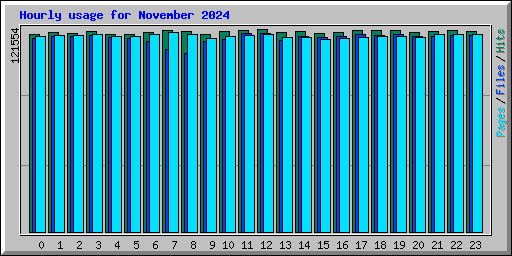 Hourly usage for November 2024
