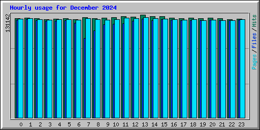Hourly usage for December 2024