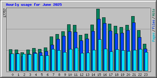 Hourly usage for June 2025