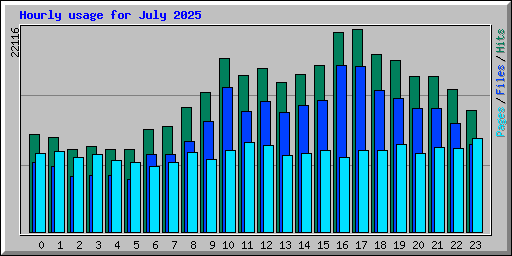 Hourly usage for July 2025