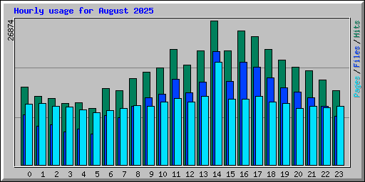 Hourly usage for August 2025