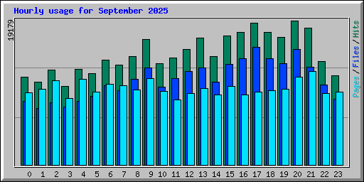 Hourly usage for September 2025