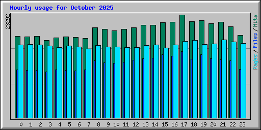 Hourly usage for October 2025