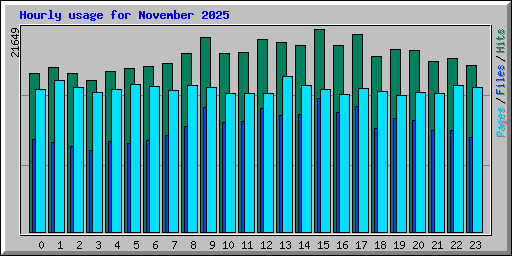 Hourly usage for November 2025