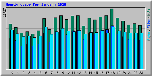 Hourly usage for January 2026