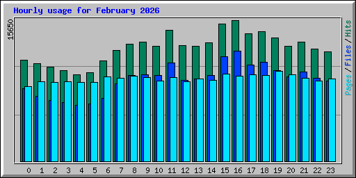 Hourly usage for February 2026