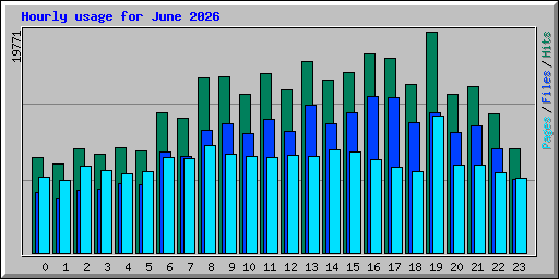 Hourly usage for June 2026