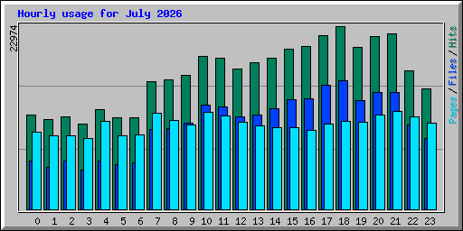 Hourly usage for July 2026